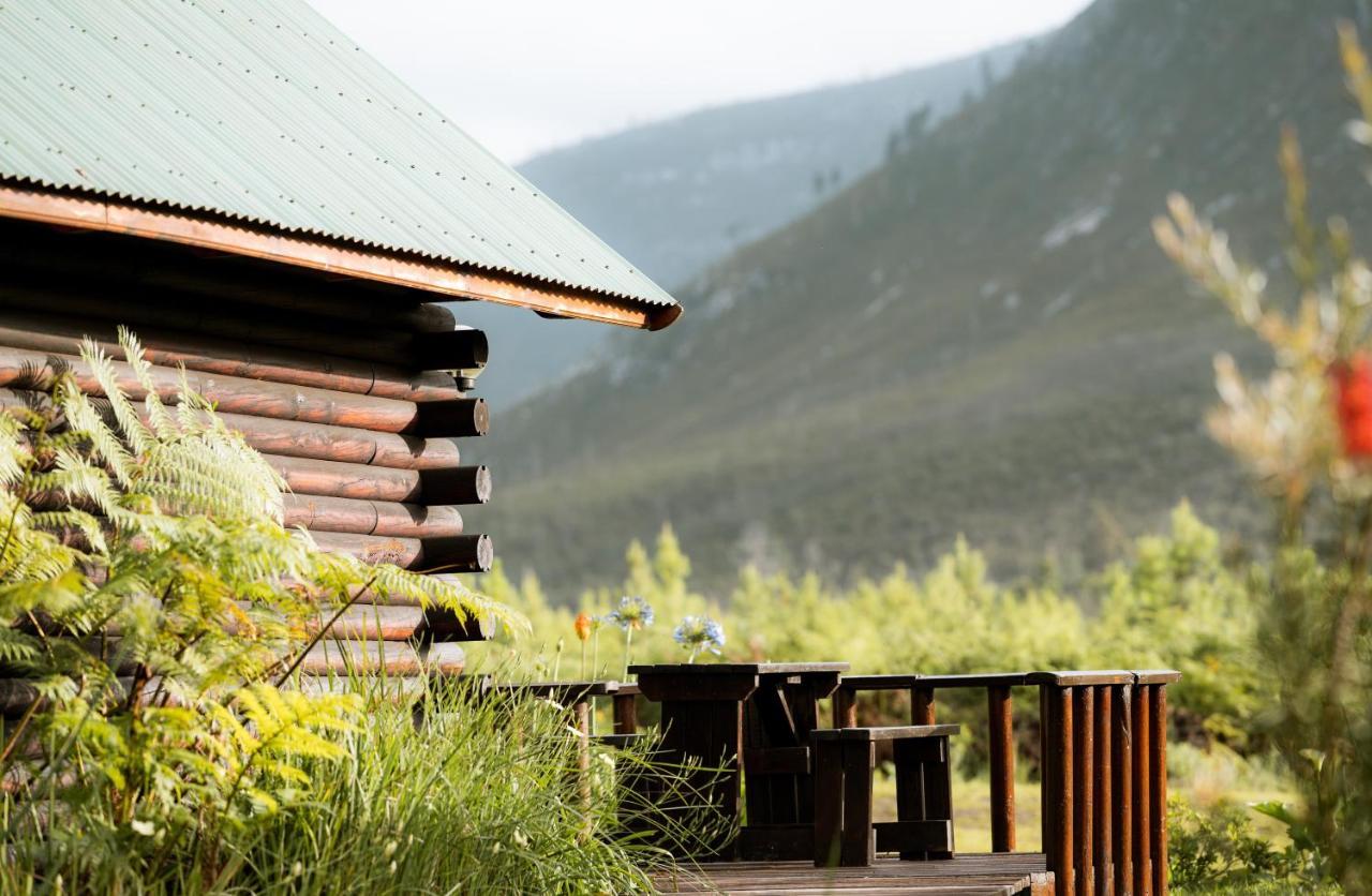 Tsitsikamma Lodge & Spa Stormsrivier Luaran gambar