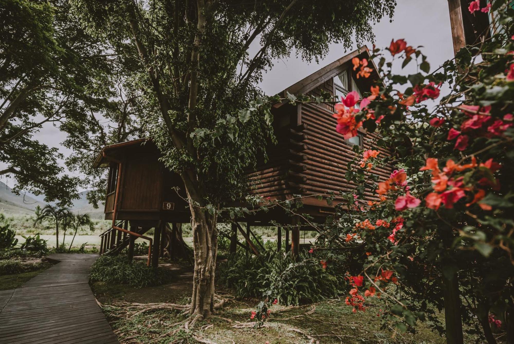 Tsitsikamma Lodge & Spa Stormsrivier Luaran gambar