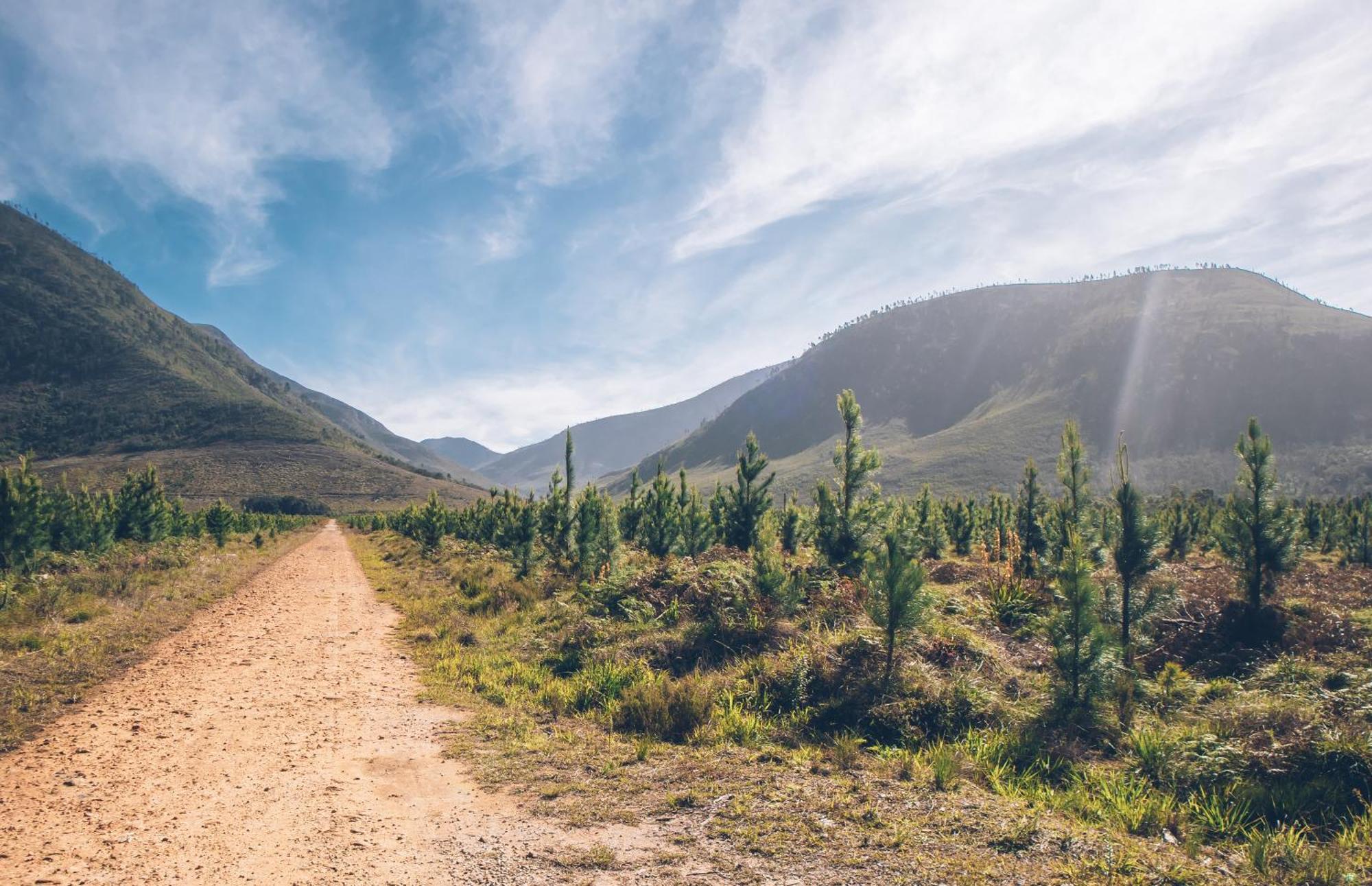 Tsitsikamma Lodge & Spa Stormsrivier Luaran gambar