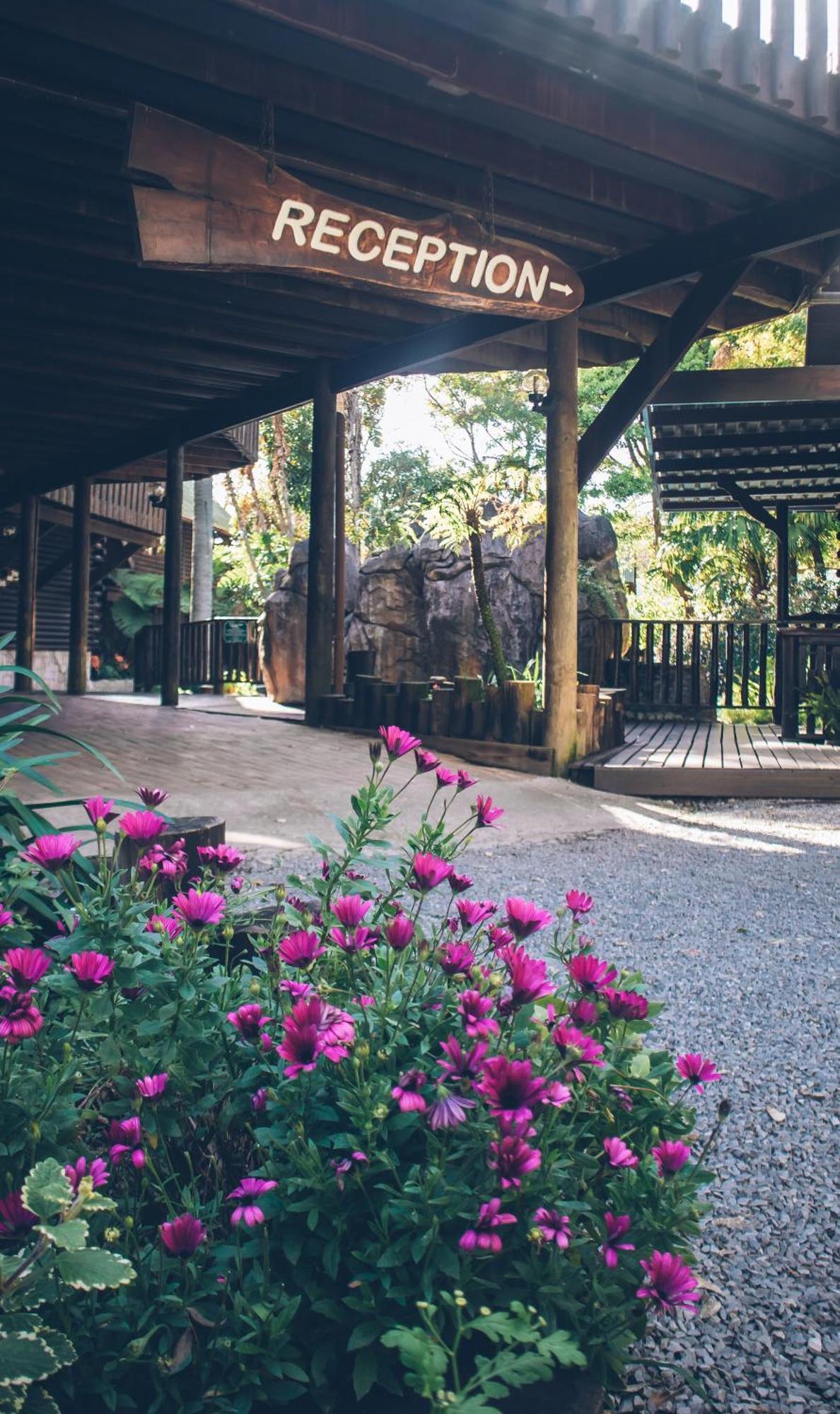 Tsitsikamma Lodge & Spa Stormsrivier Luaran gambar